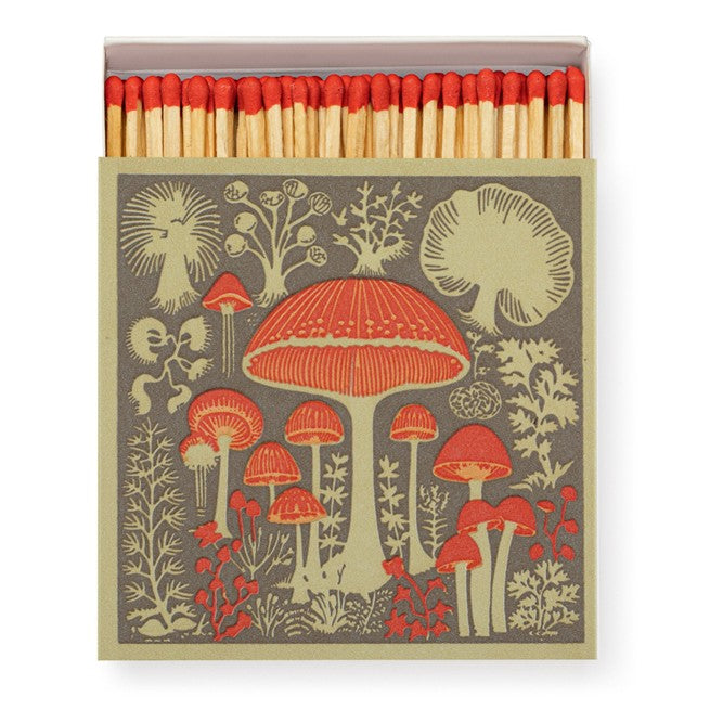 Fyrstikkeske Mushroom