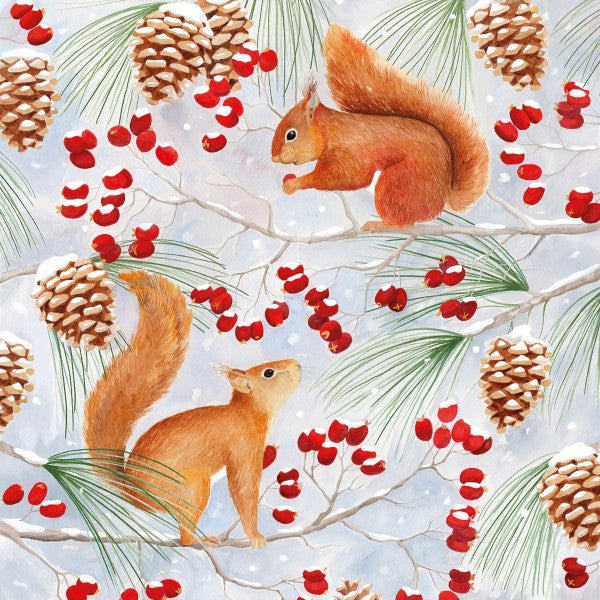 Papirserviett squirrel chat