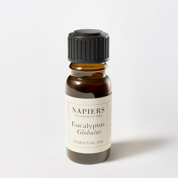 Eucalytous eterisk olje 10 ml