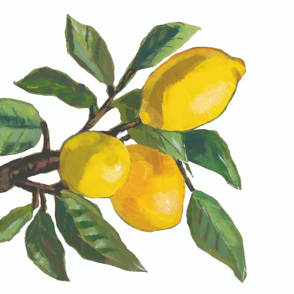 Papirserviett Lemon musée