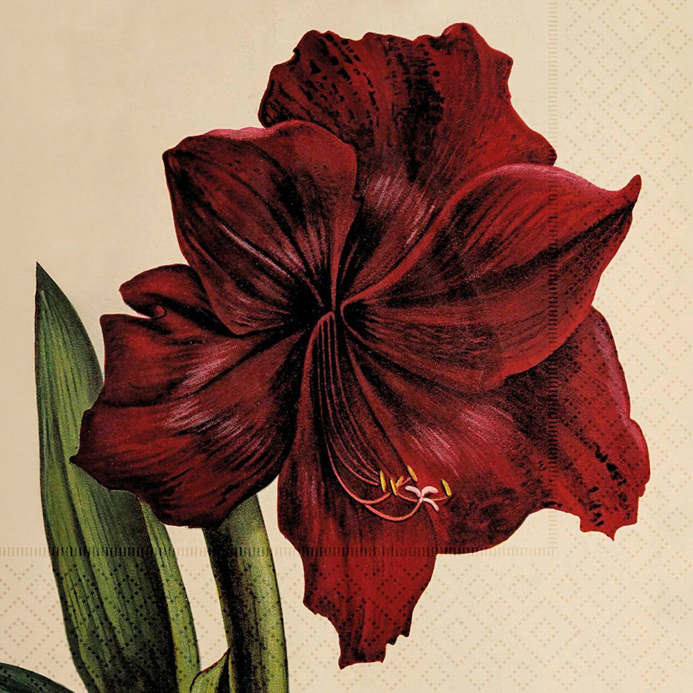 Papirserviett Amaryllis