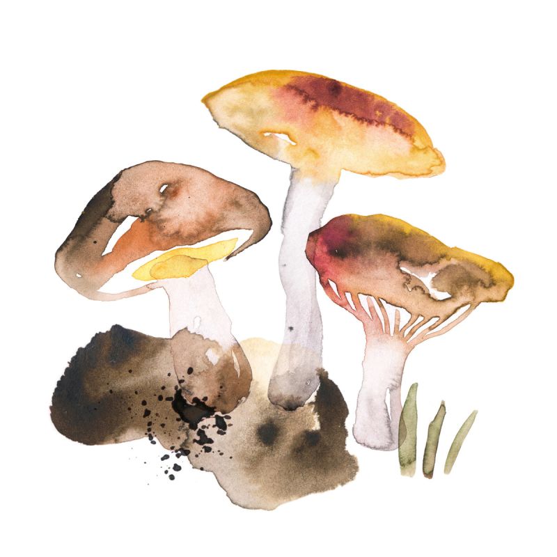 Papirserviett mushroom delight