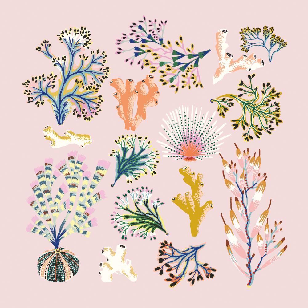 Papirserviett Paradiso coral