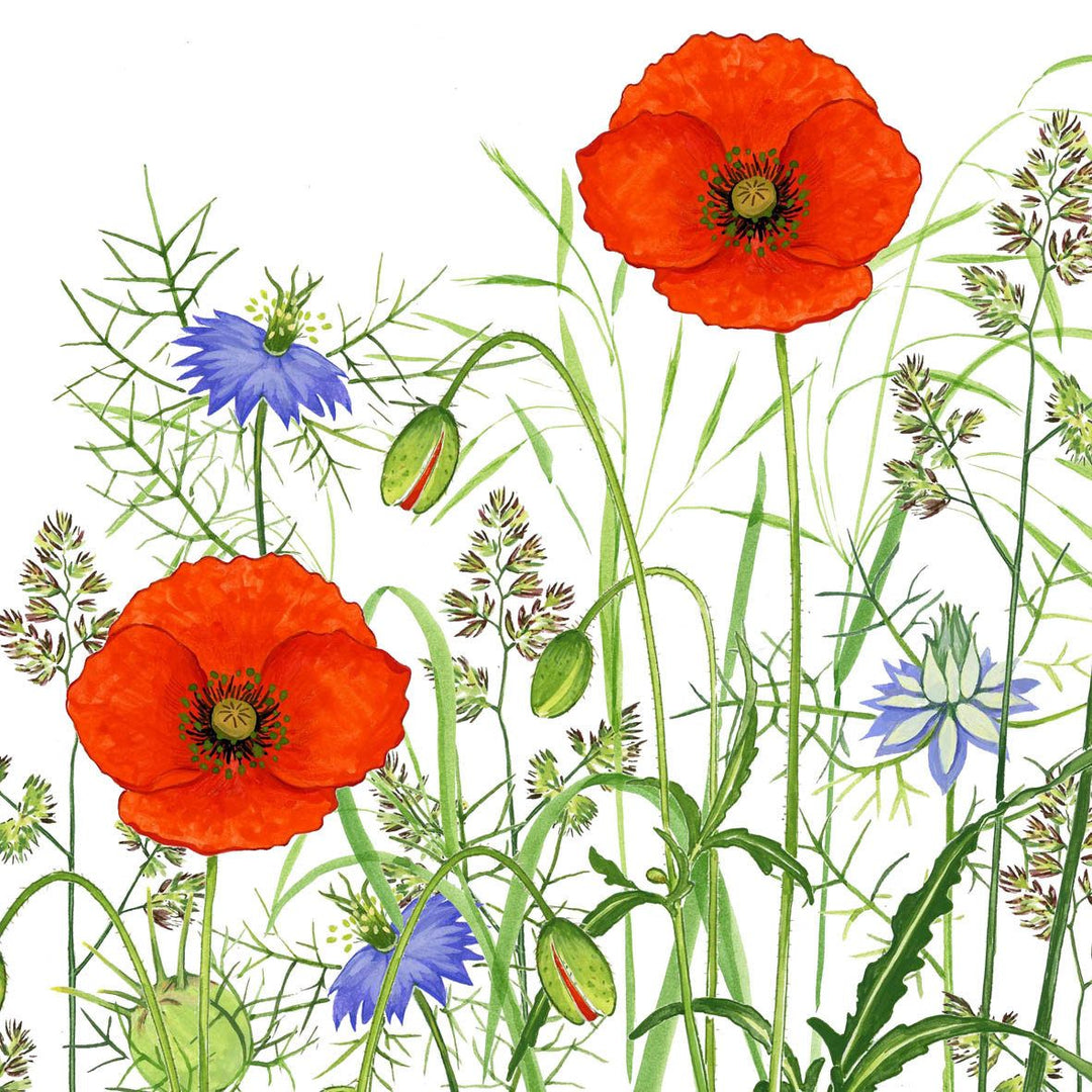 Papirserviett poppy field