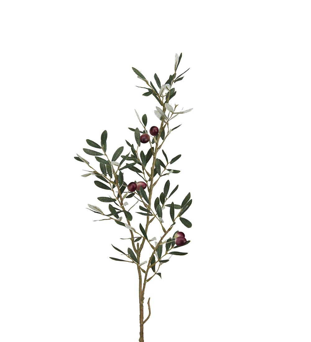 Olivenkvist 85 cm