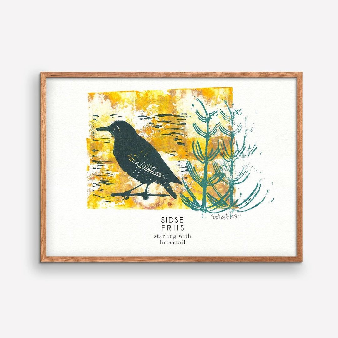 Starling with horsetail - Sidse Friis 30 x 40 cm
