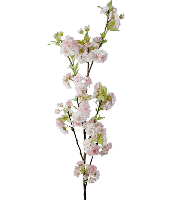 Kirsebærblomst 120 cm