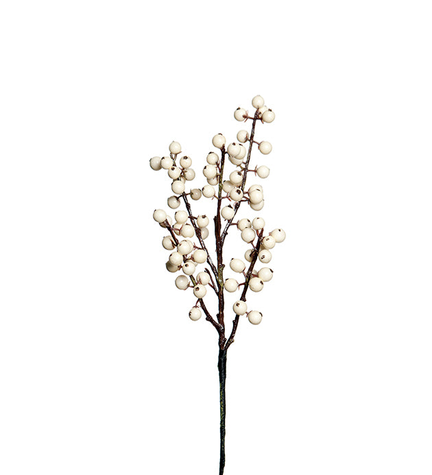 Kvist med hvite bær H: 35 cm