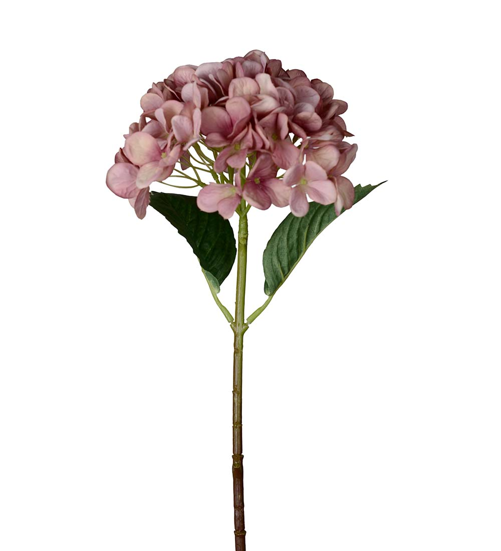 Hortensia  48 cm