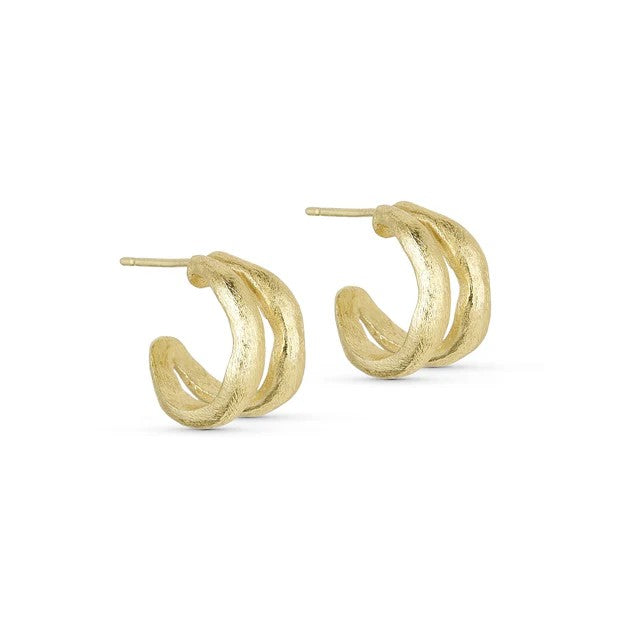 Paloma dobbeltøredobbe gullbelagt