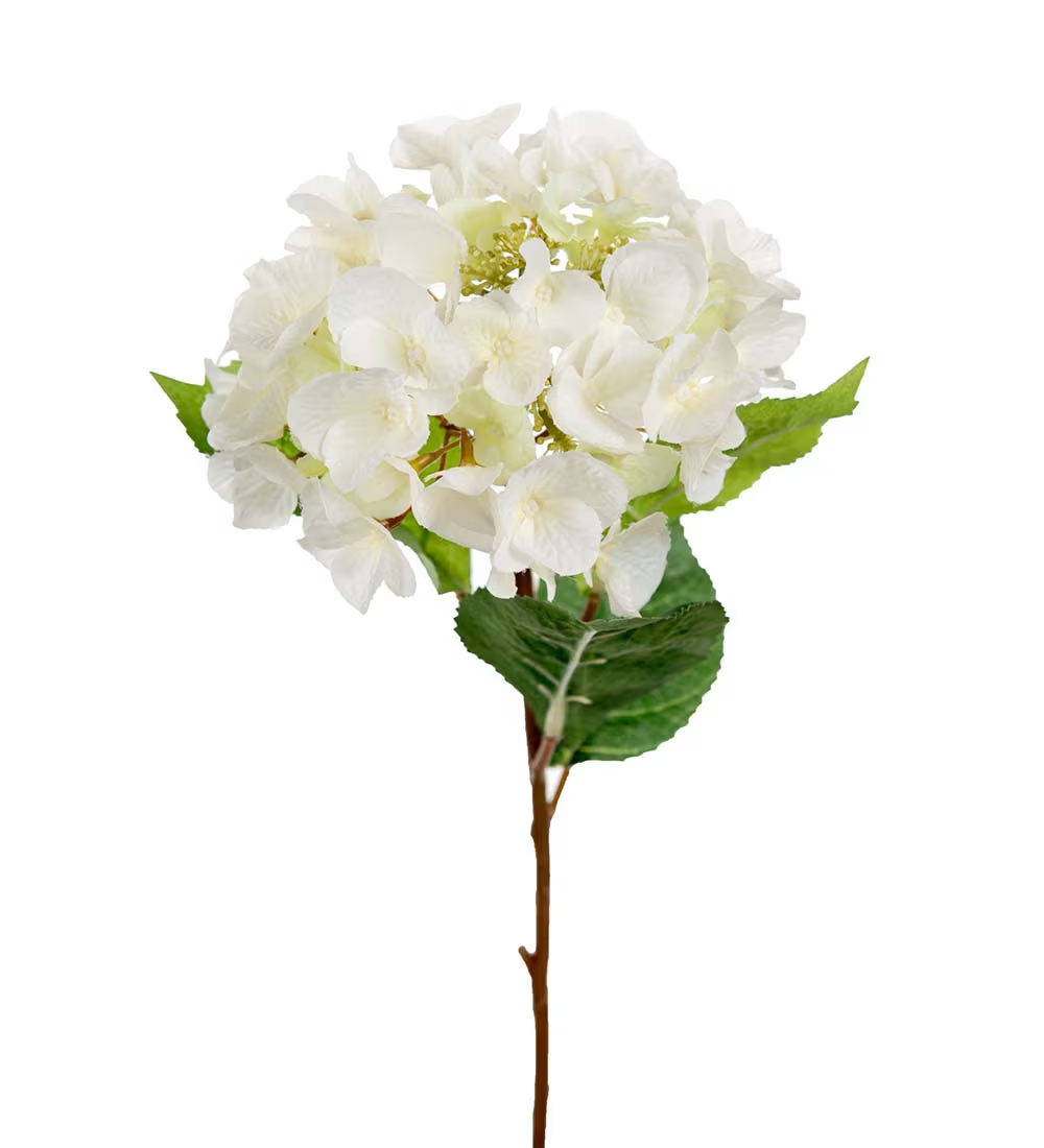 Hortensia  45 cm