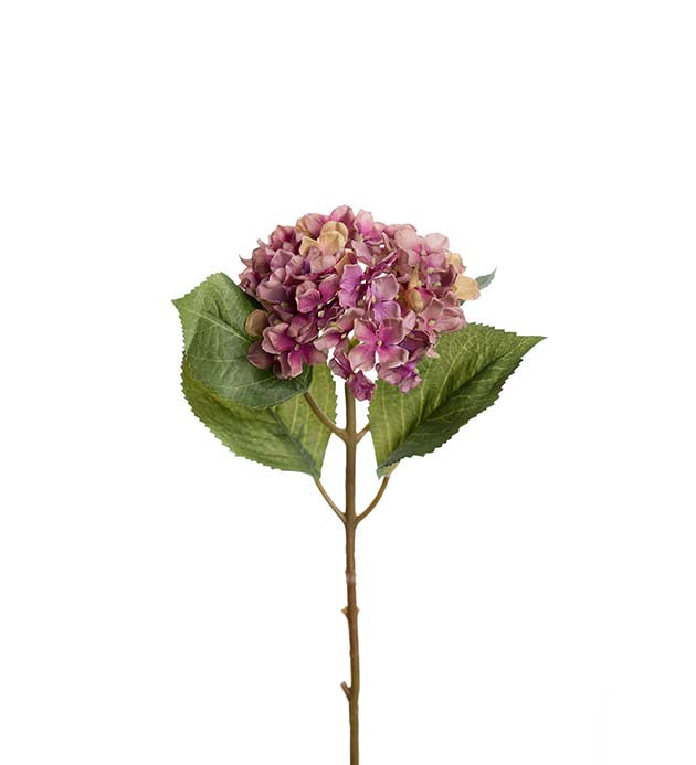 Hortensia H: 40 cm lilla