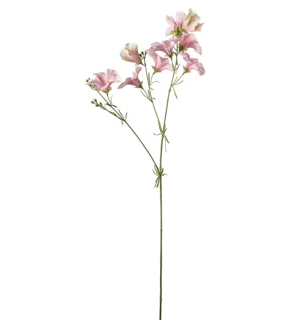 Petunia  90 cm