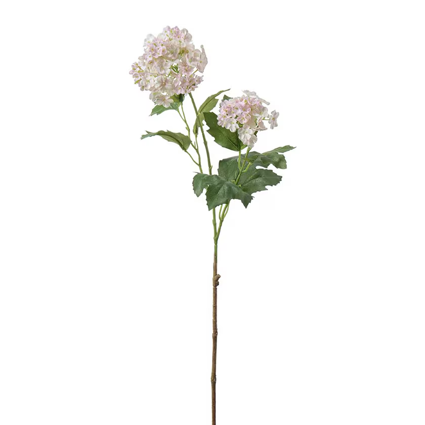 Kornell  60 cm