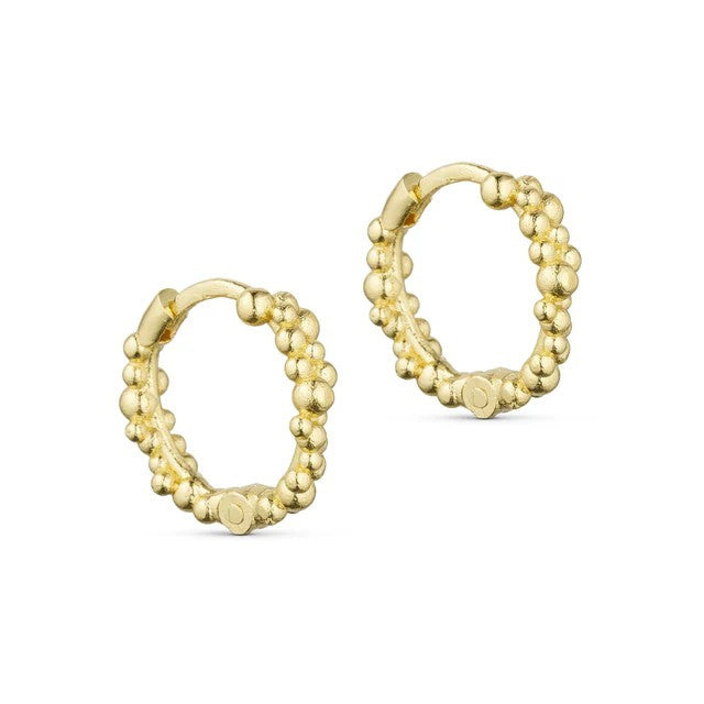 Chloe hoops forgylt