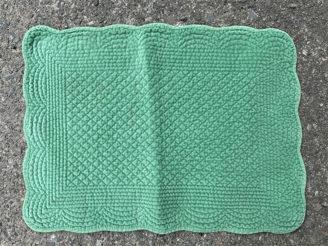 Spisebrikke avlang velur 35x50 cm granny smith green