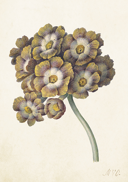 Kort med konvolutt blomst