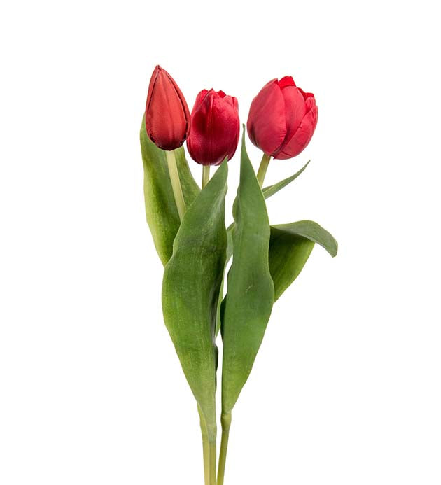 Tulipan rød H: 36 cm