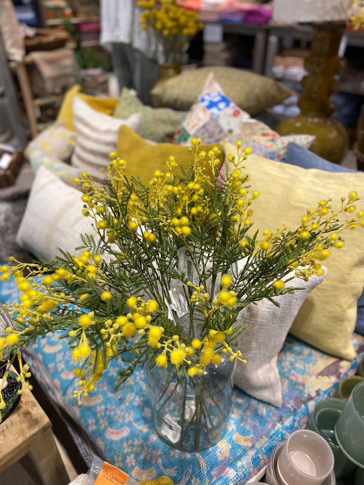 Mimosa 60 cm
