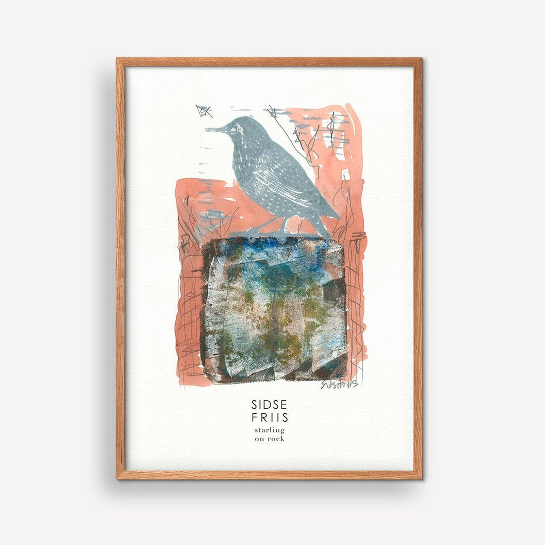 Starling on rock - Sidse Friis 50 x 70 cm