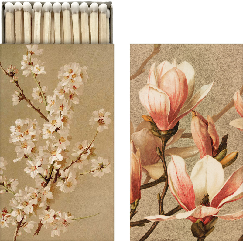 Fyrstikkeske magnolia & mandelblomst