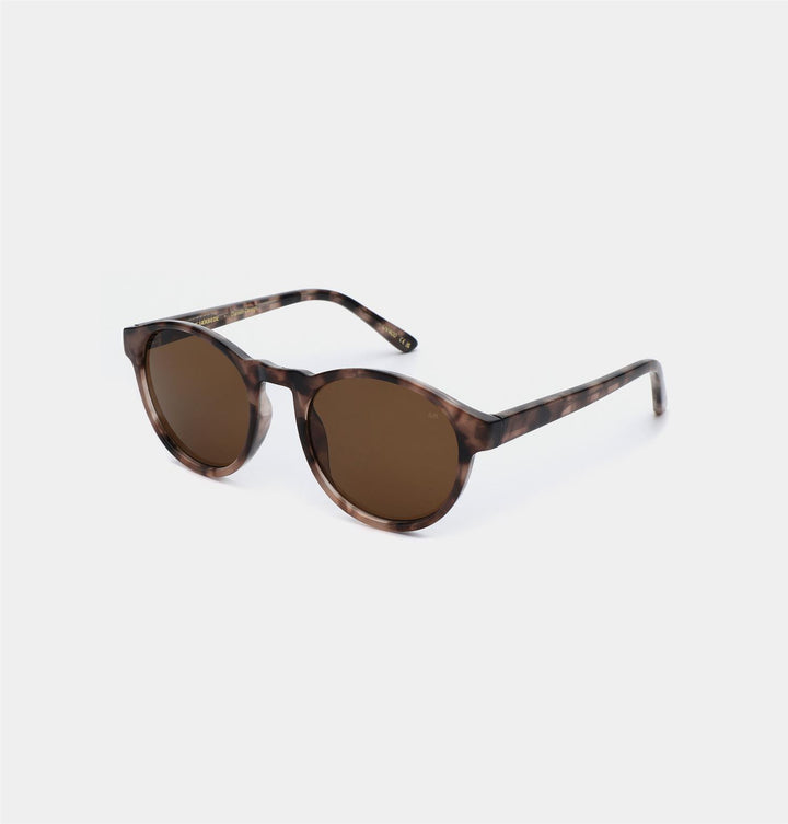 Solbrille Marvin coquina